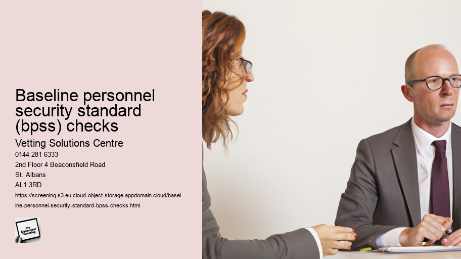 baseline personnel security standard (bpss) checks