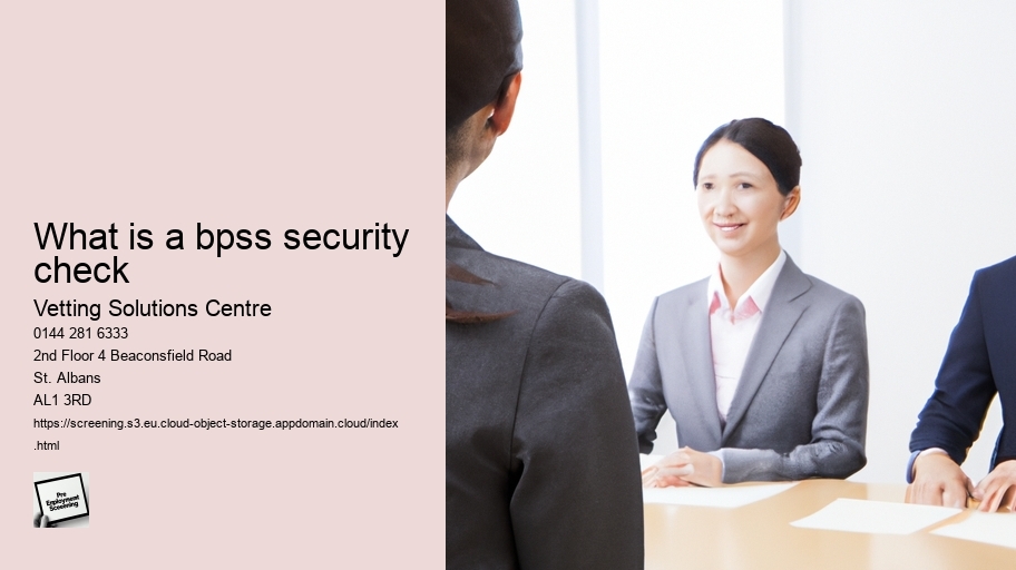 what is a bpss security check