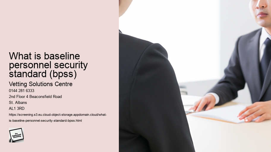 what is baseline personnel security standard (bpss)